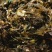 海菜包子，一包10个，不同馅，价位也不同
