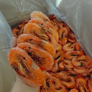 海鲜品