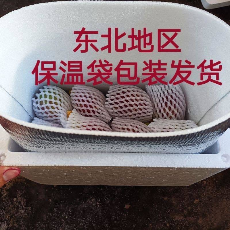 【排毒养颜】野生仙人掌果热带当季花青素水果整箱一件代发