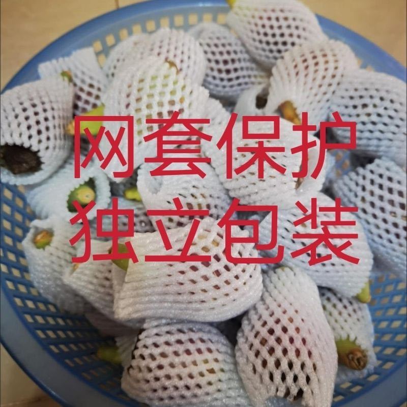 【排毒养颜】野生仙人掌果热带当季花青素水果整箱一件代发