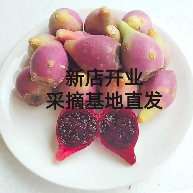 【排毒养颜】野生仙人掌果热带当季花青素水果整箱一件代发