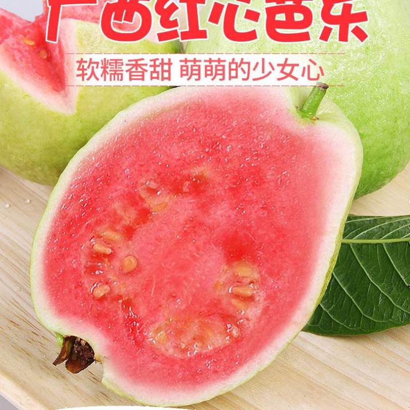现摘红心番石榴新鲜当季水果红巴乐潘石榴芭乐3个3斤5斤代发