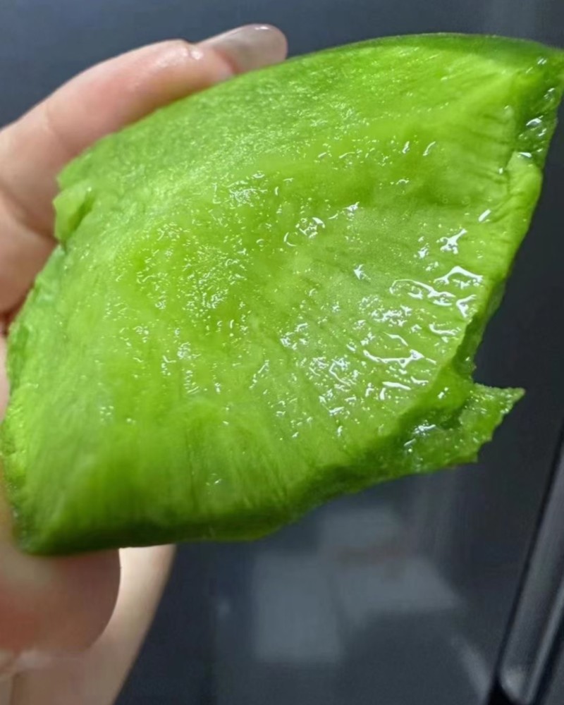 沙窝萝卜