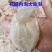 鱼泡内泡五斤以上