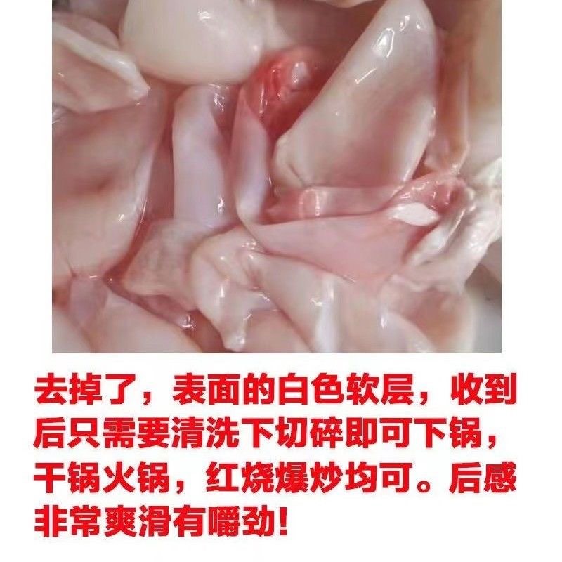 鱼泡内泡五斤以上