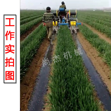 麦地套种辣椒播种机