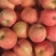 山东烟台富士镇的苹果🍎