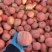 山东烟台富士镇的苹果🍎