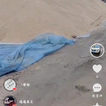 发5水稻