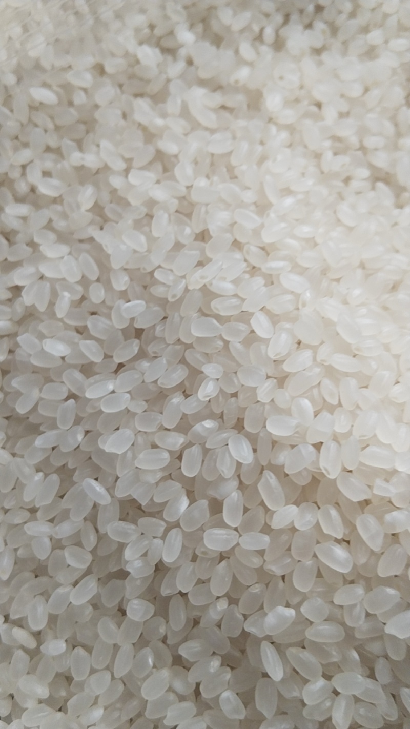东北珍珠米50斤包装袋，5万吨起，10%预付款，批拉批结。