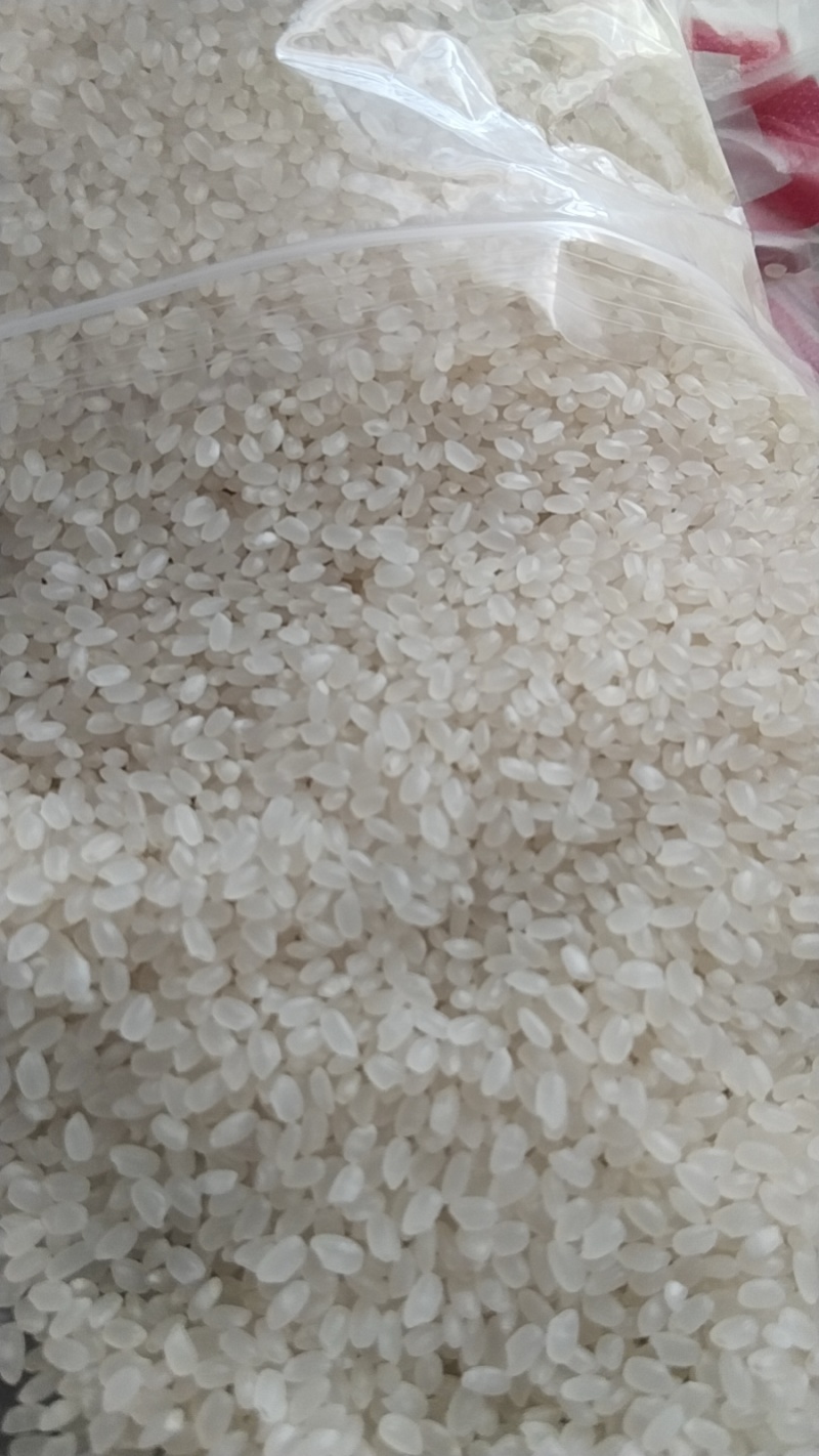 东北珍珠米50斤包装袋，5万吨起，10%预付款，批拉批结。