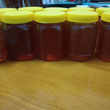 野蜂蜜，广西野蜂蜜🍯，好货，好货