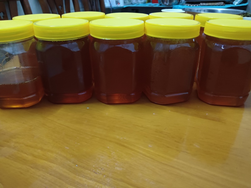 野蜂蜜，广西野蜂蜜🍯，好货，好货