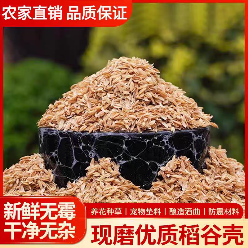 谷壳批发