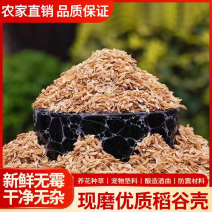 谷壳批发