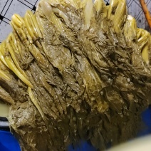 雪里红酸菜芥菜酸菜