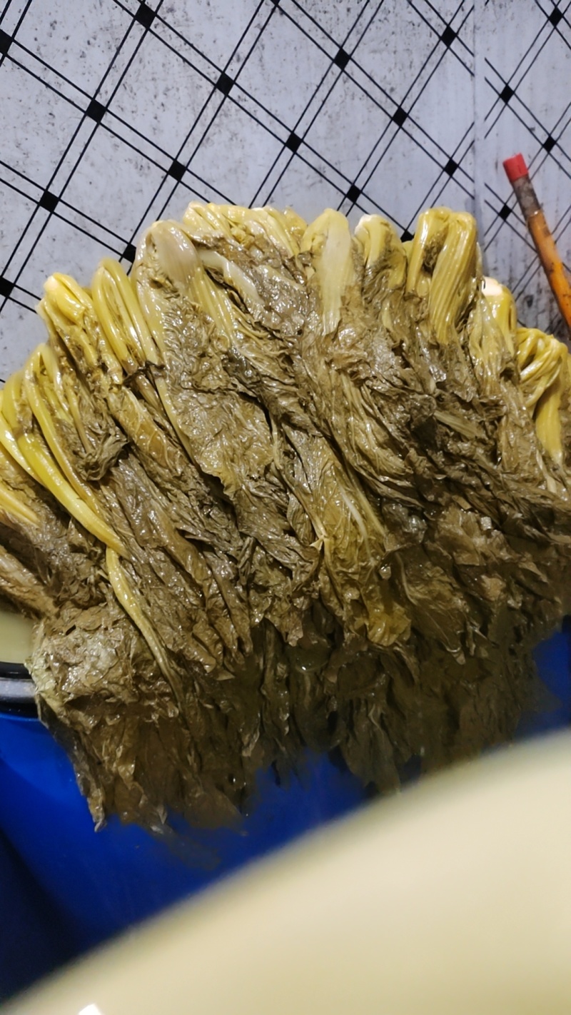 雪里红酸菜芥菜酸菜