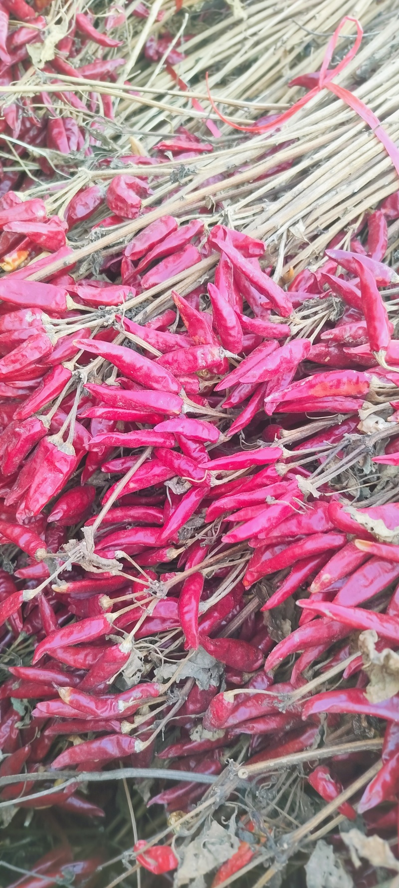 大量批发