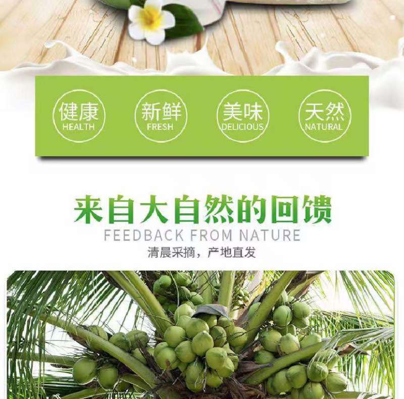 海南椰子青椰汁水鲜甜个头饱满产地现发对接全国