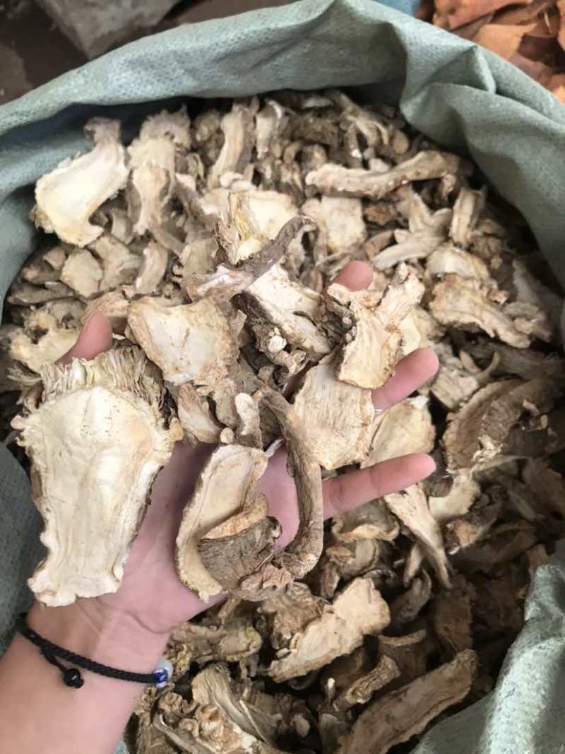 云南当归，当归片甜当归片无硫当归头气味浓郁新货欢迎