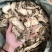 云南当归，当归片甜当归片无硫当归头气味浓郁新货欢迎