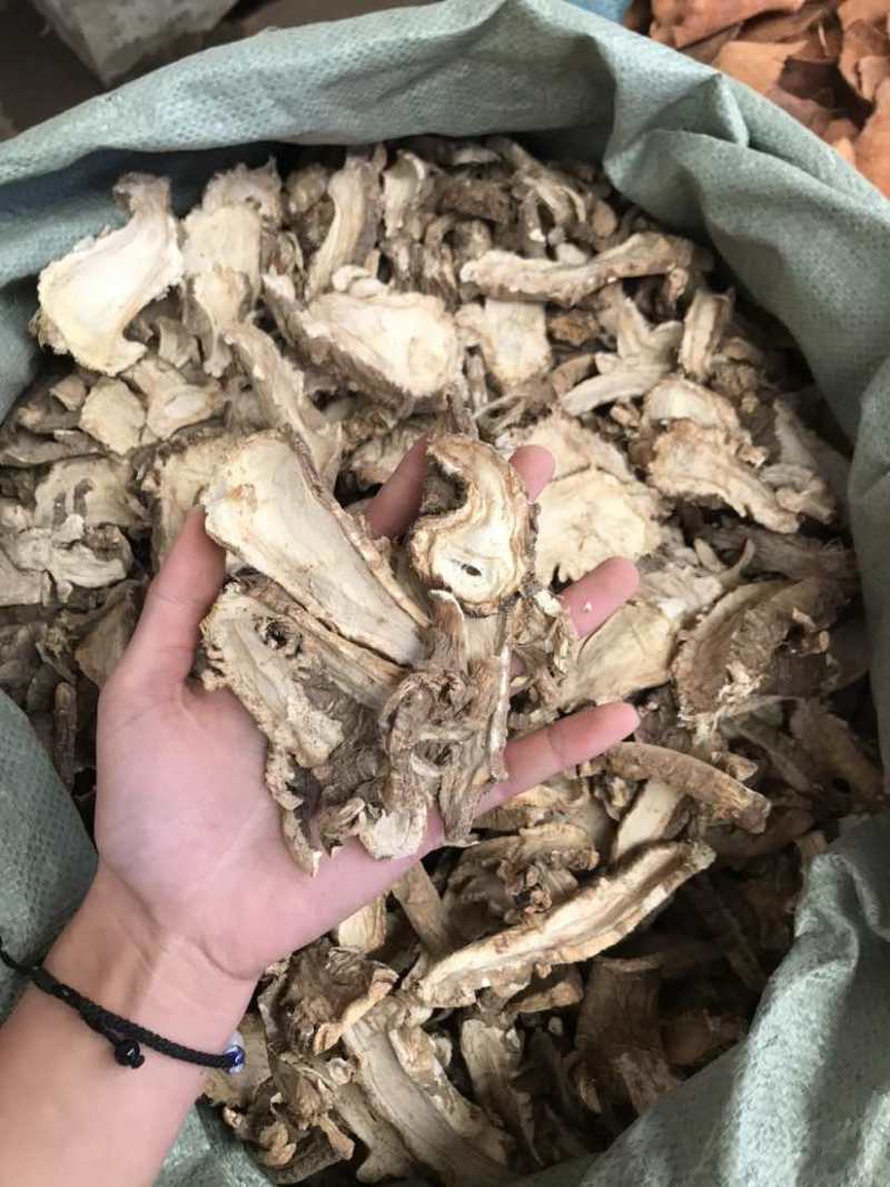 云南当归，当归片甜当归片无硫当归头气味浓郁新货欢迎