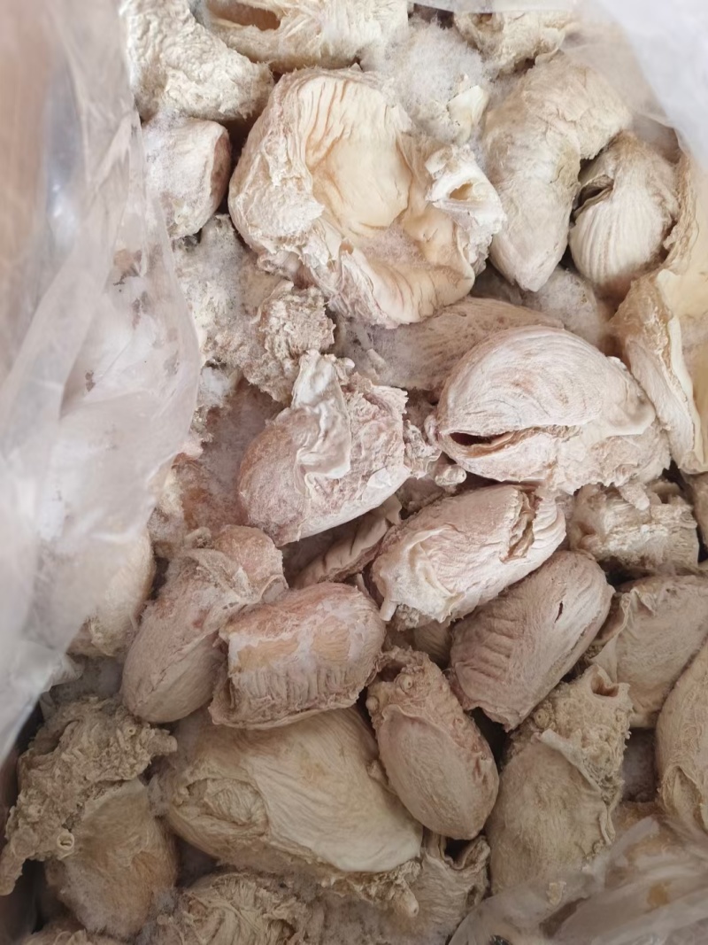牛小肚尿泡50斤左右一件