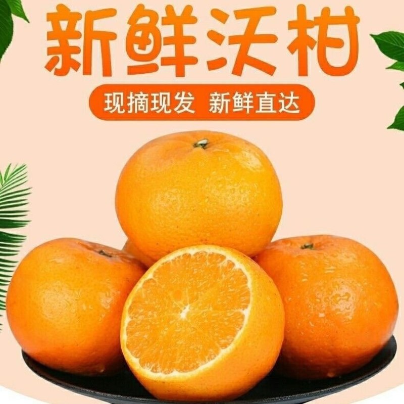 广西武鸣沃柑应季水果当季薄皮超甜橘子蜜橘一整箱包邮