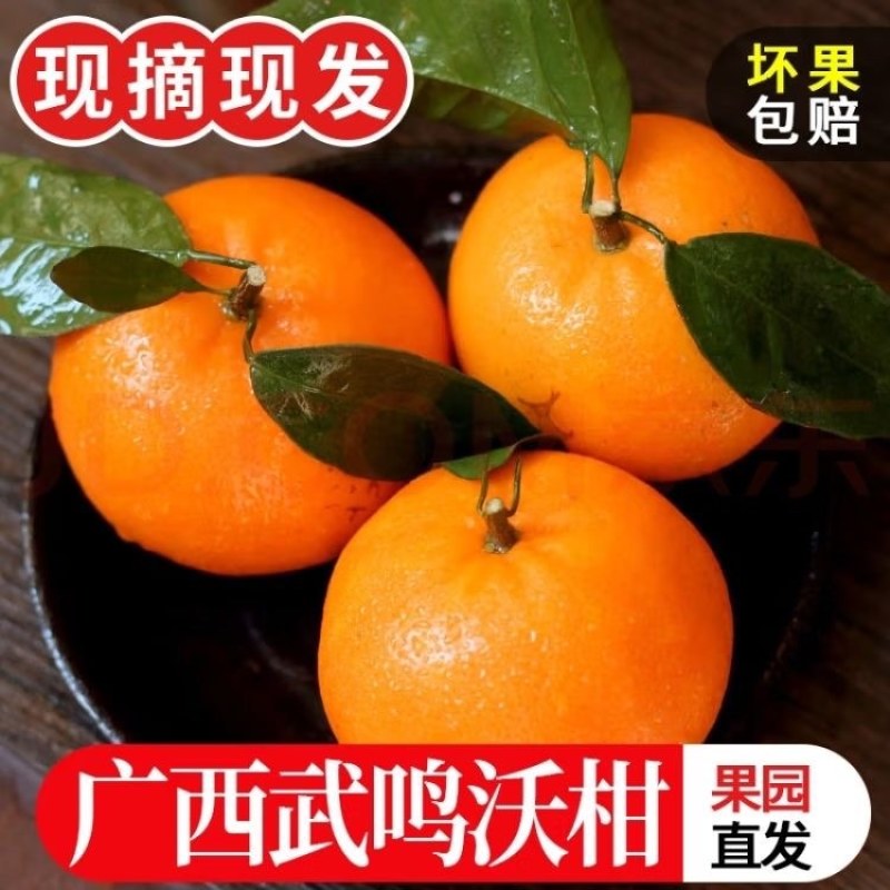 广西武鸣沃柑应季水果当季薄皮超甜橘子蜜橘一整箱包邮