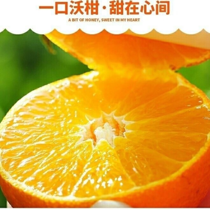 广西武鸣沃柑应季水果当季薄皮超甜橘子蜜橘一整箱包邮