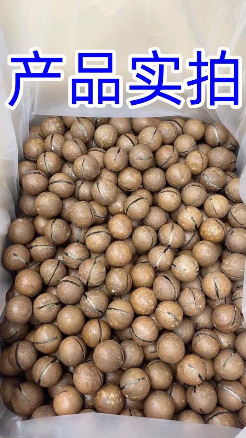 夏威夷果电商大货供应接代发