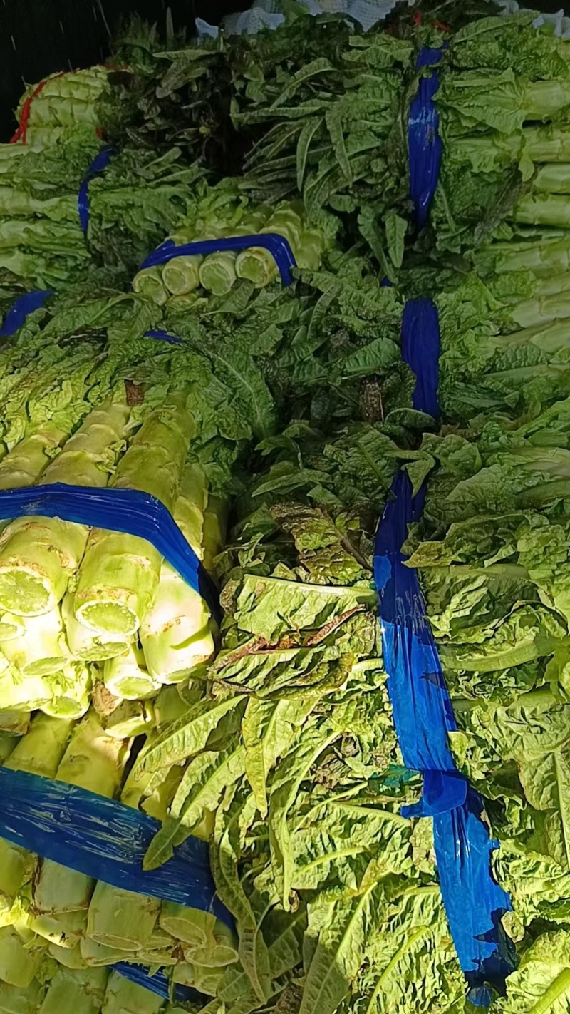 莴笋青莴笋无空心新鲜当天现采直发按需发货