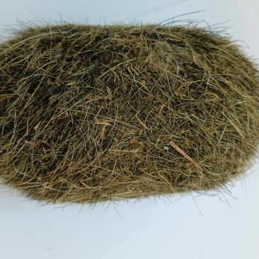 猪宝。