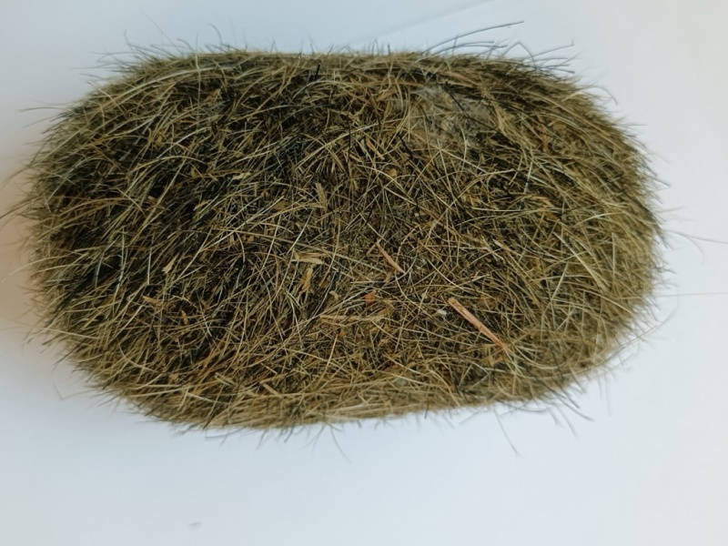 猪宝。