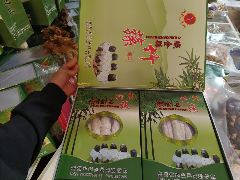 织金竹荪