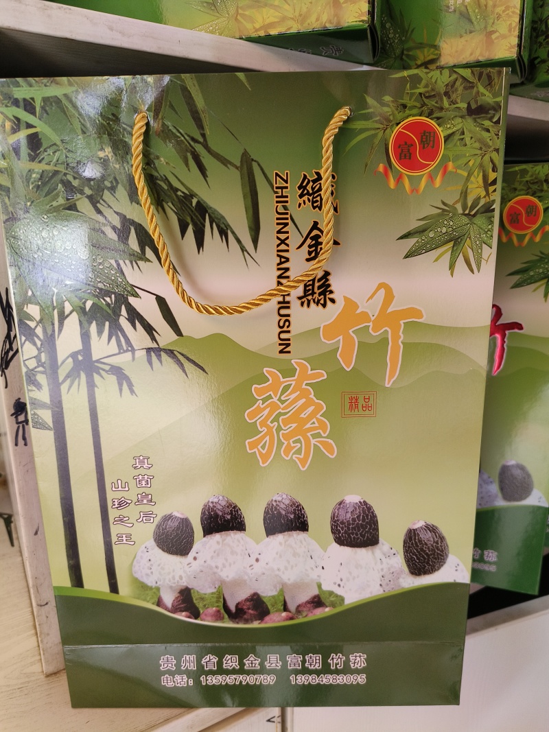 织金竹荪