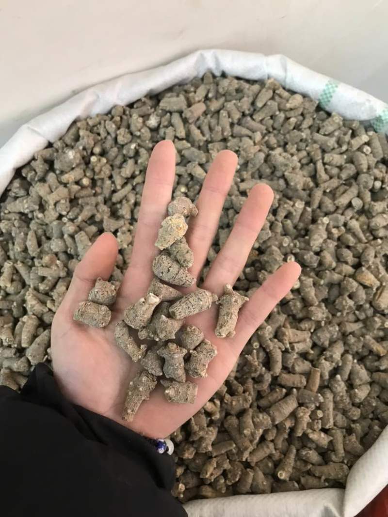 文三七三七根大根田七根三七正品三到四年根须大货批