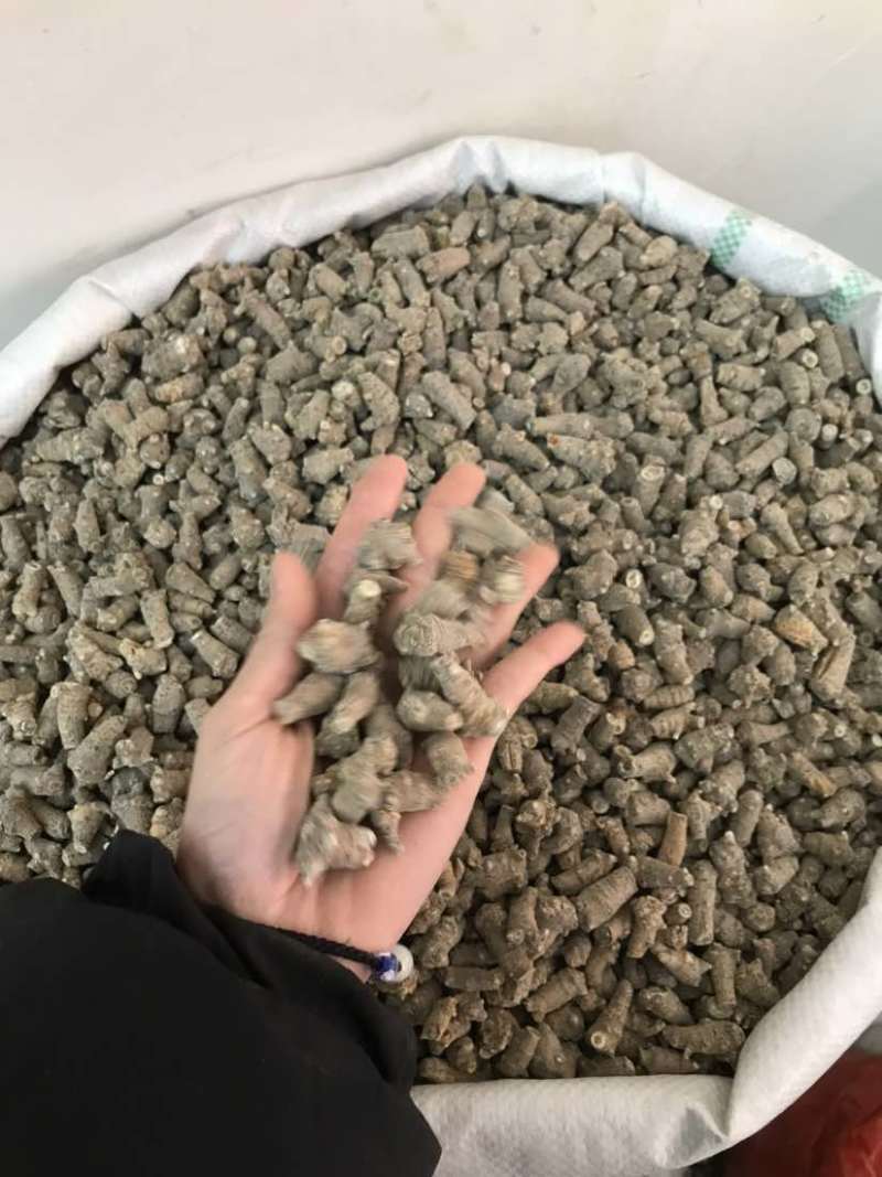 文三七三七根大根田七根三七正品三到四年根须大货批