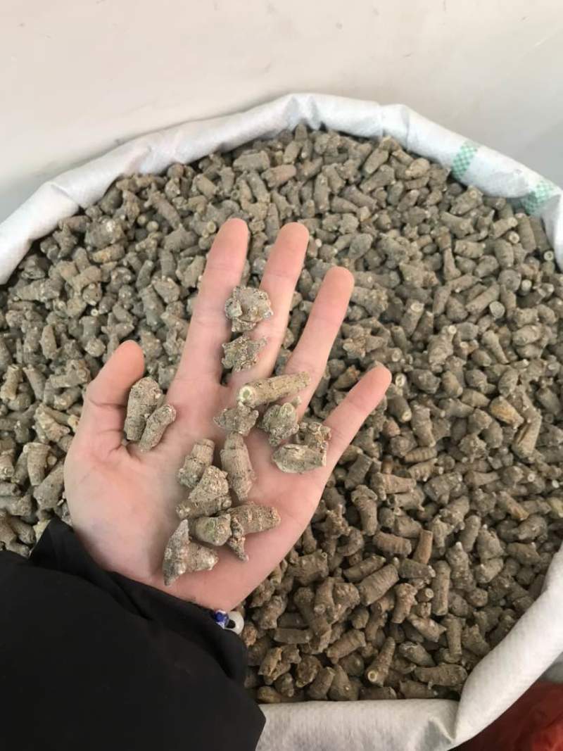 文三七三七根大根田七根三七正品三到四年根须大货批