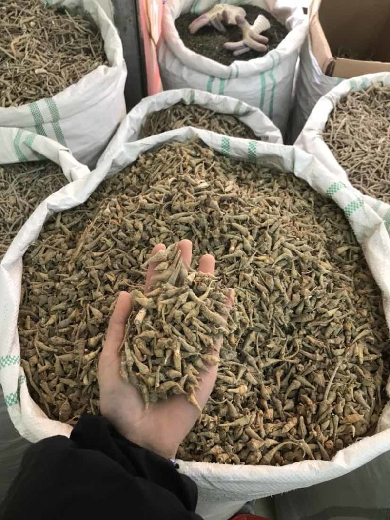 文三七三七根大根田七根三七正品三到四年根须大货批
