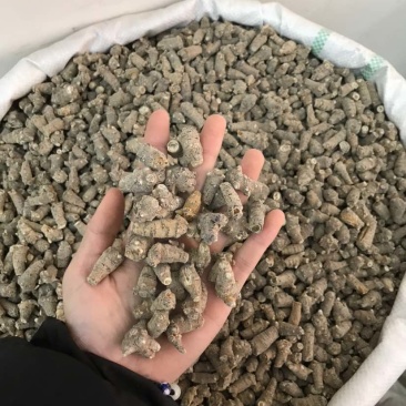 文三七三七根大根田七根三七正品三到四年根须大货批