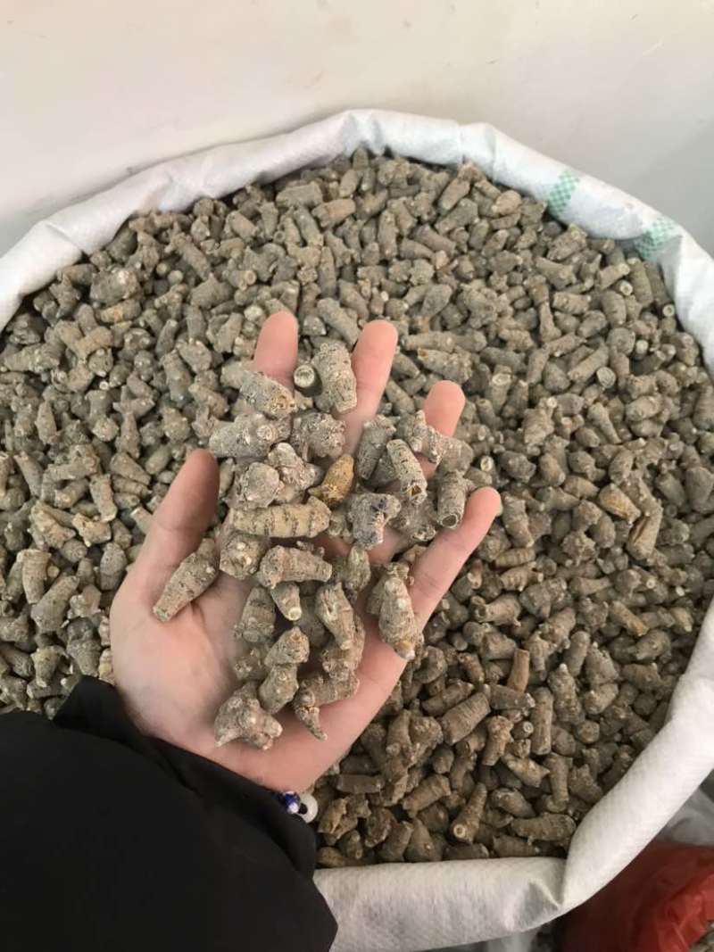 文三七三七根大根田七根三七正品三到四年根须大货批