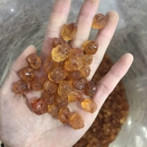 2024桃胶手工精修桃胶纯黄胶红黄胶大颗粒珍珠桃胶