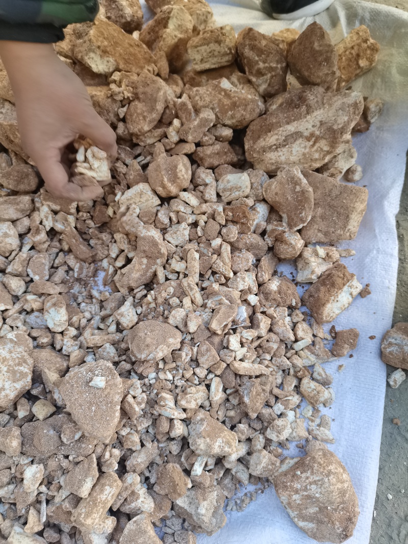 龙骨常年大量有货