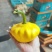 特色套菜
