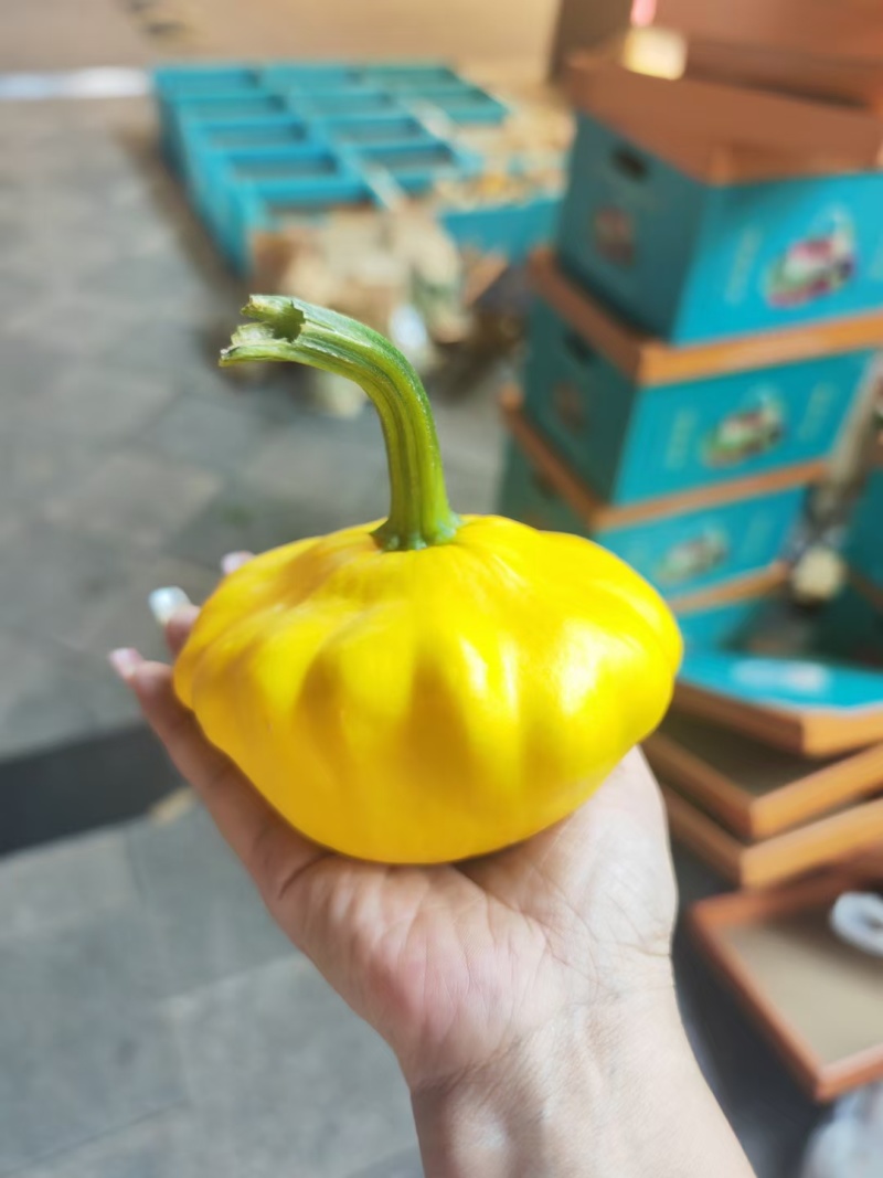 特色套菜