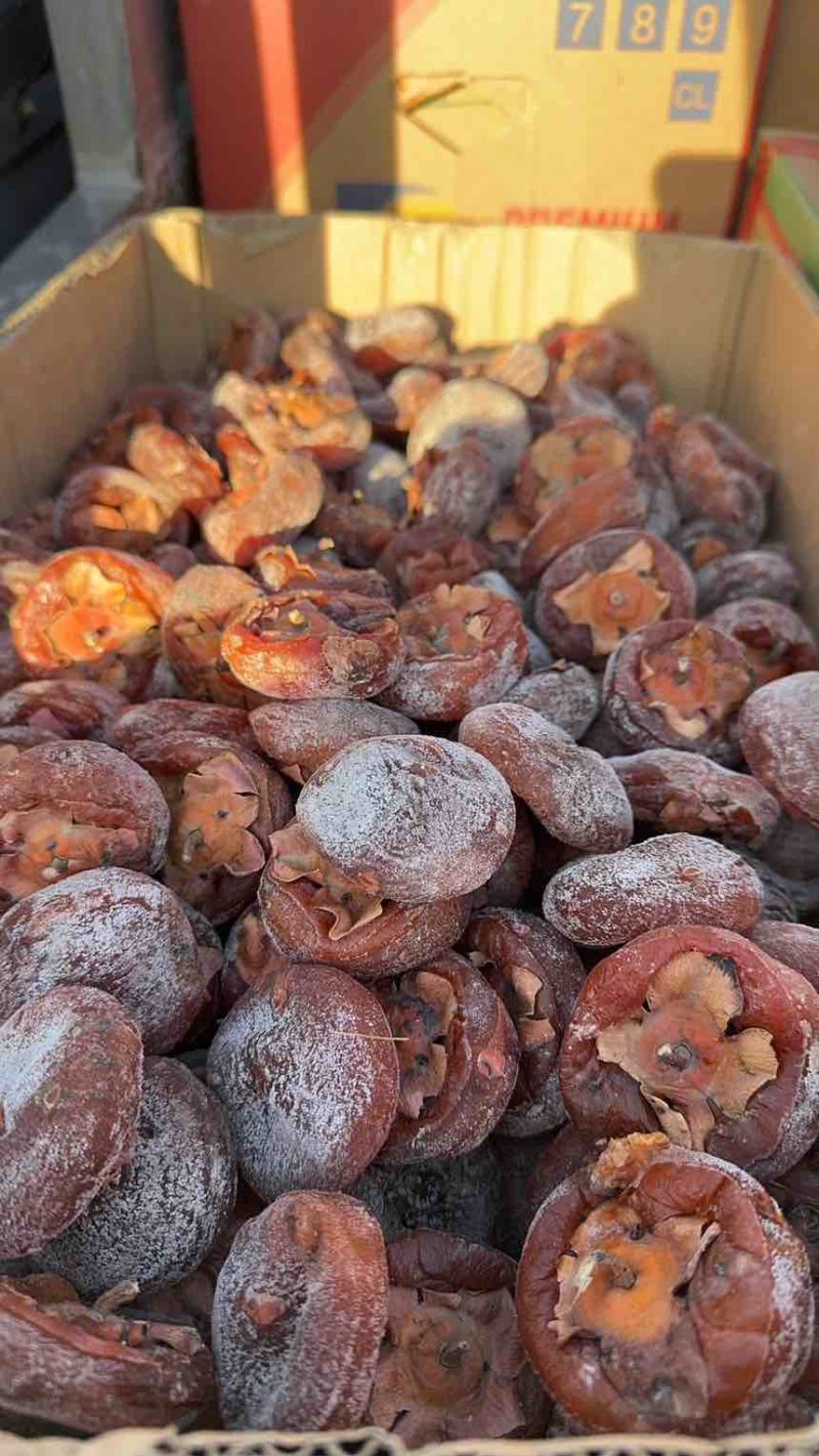 陕西柿饼（毛货）个头大