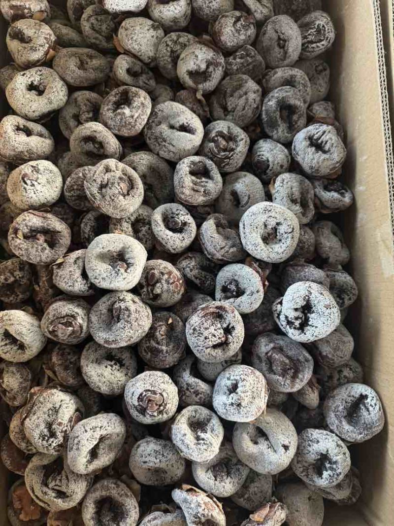 陕西柿饼（毛货）个头大