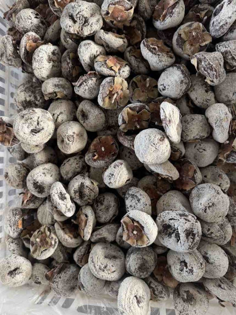 陕西柿饼（毛货）个头大