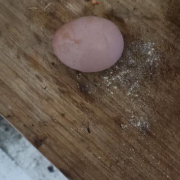 鸡蛋壳